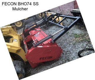 FECON BHO74 SS Mulcher