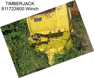 TIMBERJACK 811723800 Winch