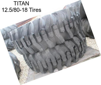 TITAN 12.5/80-18 Tires