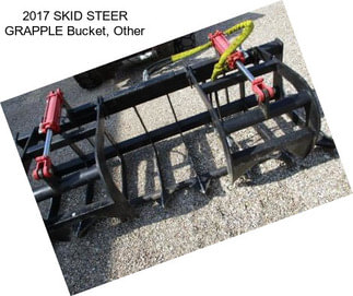 2017 SKID STEER GRAPPLE Bucket, Other