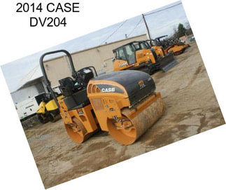 2014 CASE DV204