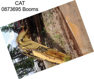 CAT 0873695 Booms