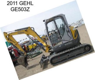 2011 GEHL GE503Z