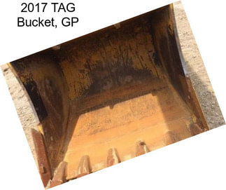 2017 TAG Bucket, GP