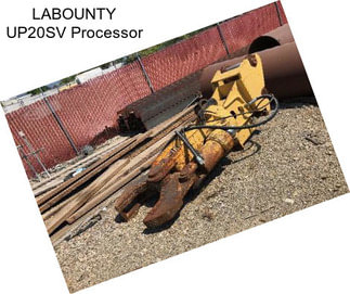 LABOUNTY UP20SV Processor