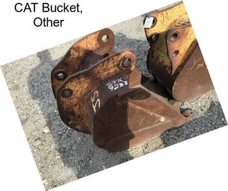 CAT Bucket, Other