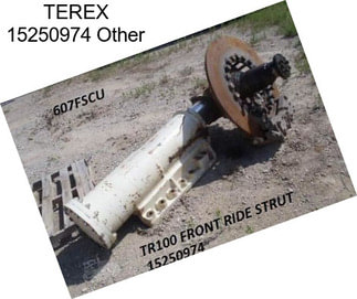 TEREX 15250974 Other