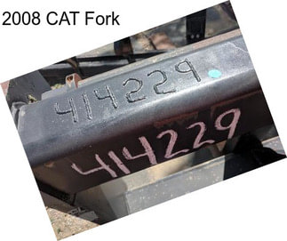 2008 CAT Fork