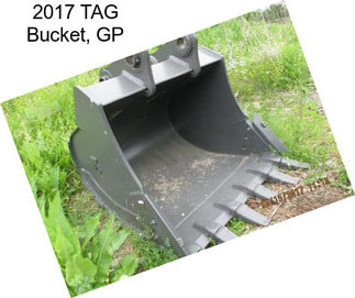 2017 TAG Bucket, GP