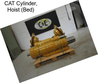 CAT Cylinder, Hoist (Bed)