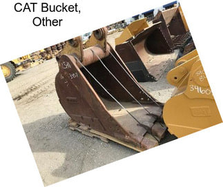 CAT Bucket, Other