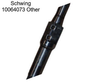 Schwing 10064073 Other