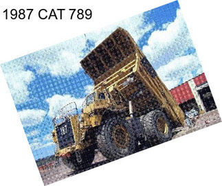 1987 CAT 789