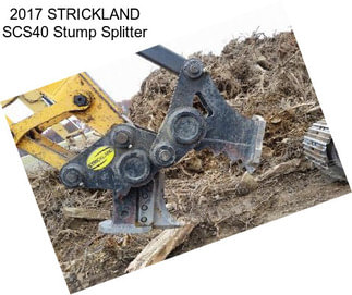 2017 STRICKLAND SCS40 Stump Splitter