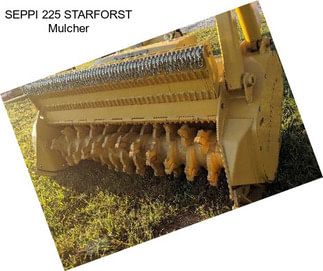 SEPPI 225 STARFORST Mulcher