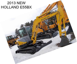 2013 NEW HOLLAND E55BX