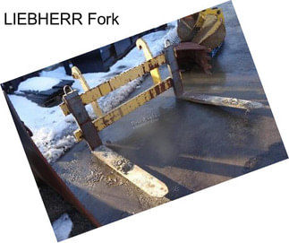 LIEBHERR Fork