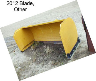 2012 Blade, Other