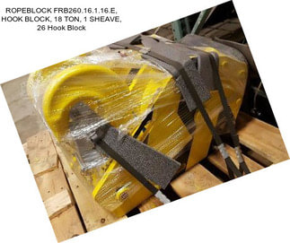 ROPEBLOCK FRB260.16.1.16.E, HOOK BLOCK, 18 TON, 1 SHEAVE, 26 Hook Block