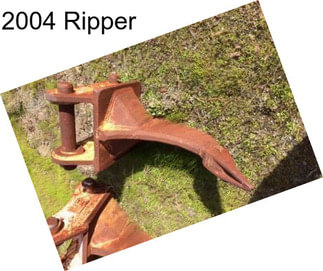 2004 Ripper