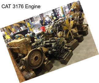 CAT 3176 Engine
