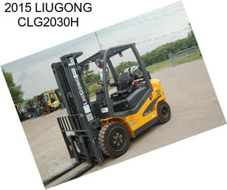 2015 LIUGONG CLG2030H