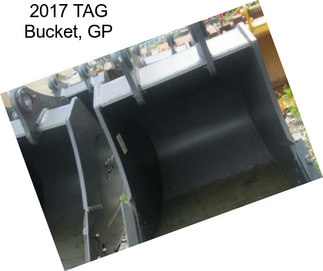 2017 TAG Bucket, GP
