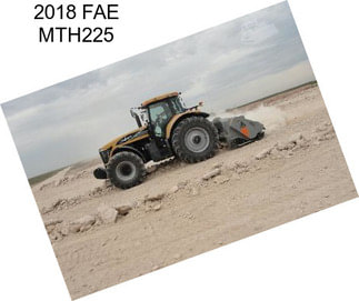 2018 FAE MTH225