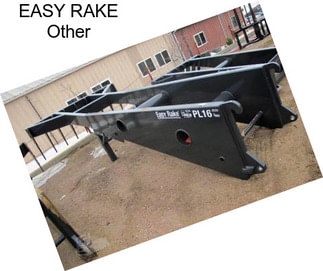 EASY RAKE Other