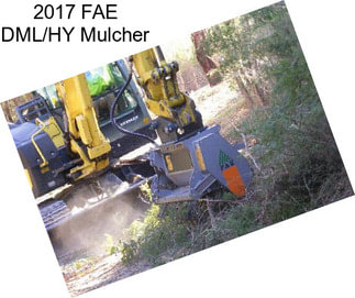 2017 FAE DML/HY Mulcher