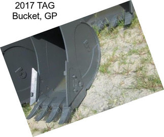 2017 TAG Bucket, GP