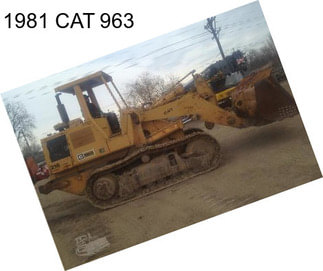 1981 CAT 963