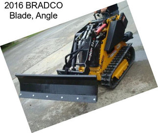 2016 BRADCO Blade, Angle