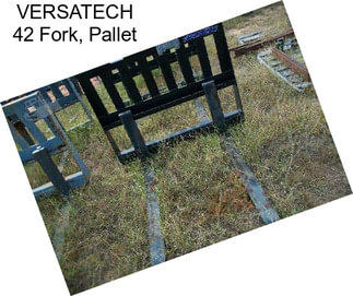 VERSATECH 42 Fork, Pallet