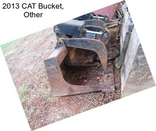 2013 CAT Bucket, Other