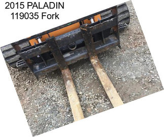 2015 PALADIN 119035 Fork