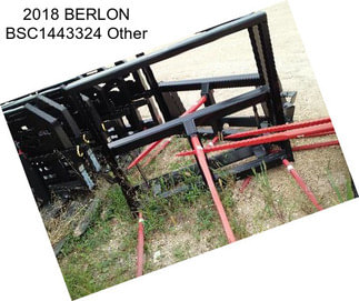 2018 BERLON BSC1443324 Other