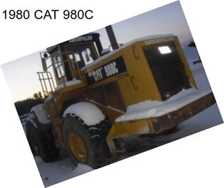 1980 CAT 980C