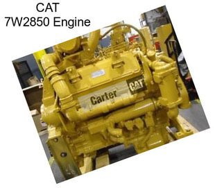 CAT 7W2850 Engine