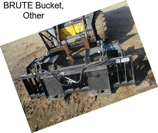 BRUTE Bucket, Other