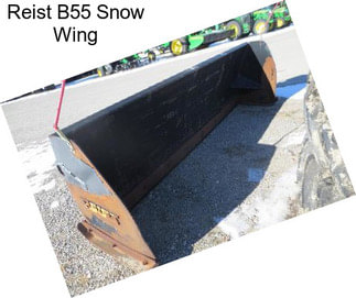 Reist B55 Snow Wing