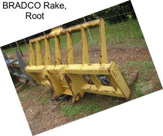 BRADCO Rake, Root