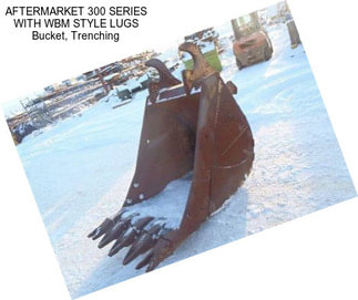 AFTERMARKET 300 SERIES WITH WBM STYLE LUGS Bucket, Trenching
