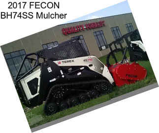 2017 FECON BH74SS Mulcher