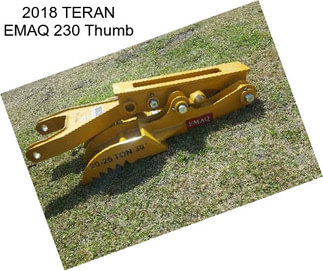 2018 TERAN EMAQ 230 Thumb