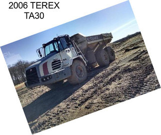 2006 TEREX TA30