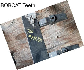 BOBCAT Teeth