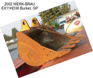 2002 WERK-BRAU EX11HD36 Bucket, GP