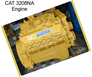 CAT 3208NA Engine