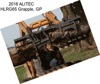 2018 ALITEC HLRG65 Grapple, GP